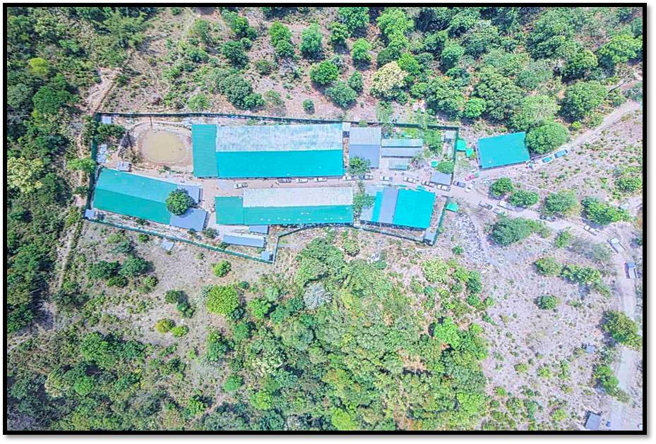 တာချီလိတ်မြို့နယ်ထဲက ကျားဖြန့် ၁၂၆ ဦး ဆက်စပ်ပစ္စည်းများနဲ့အတူဖမ်းမိ